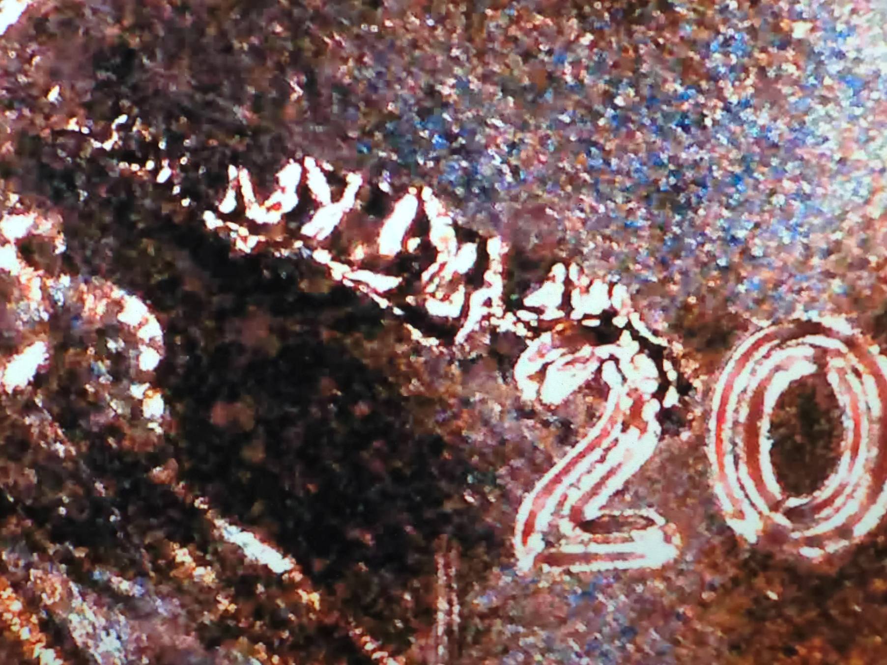 2025-P-Penny-From-New-Roll-With-What-I-Think-Are-Cud-Errors.-I-Have-More-Than-1-Of-These.